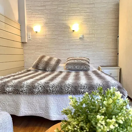 Appartement Avec Jardin, 2pers, Centre-ville *